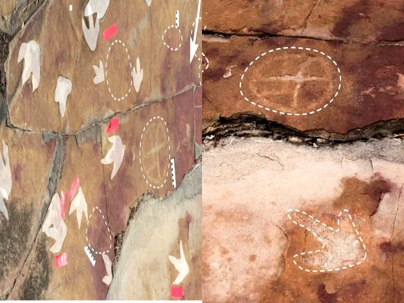 Découverte au Brésil : l'art rupestre ancien et les empreintes de dinosaures révèlent un lien su